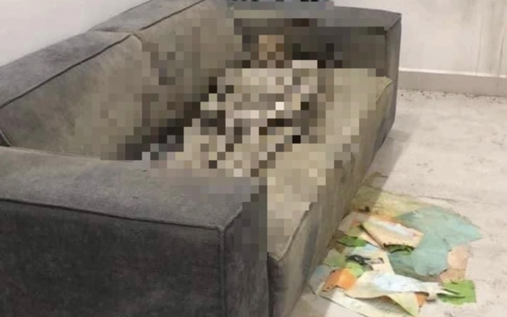 Điều tra thi thể nữ giới "chết khô" trên sofa trong căn hộ cao cấp