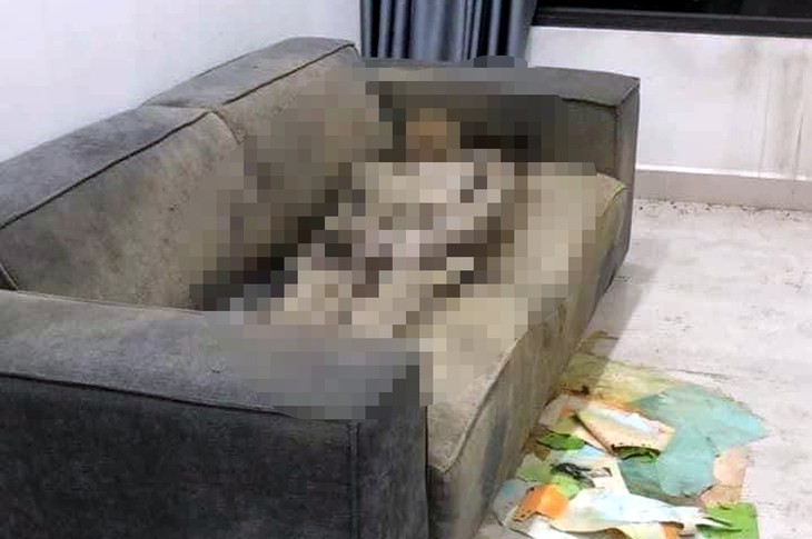 Thông tin mới nhất vụ thi thể cô gái chết khô trên sofa ở Hà Nội- Ảnh 1.