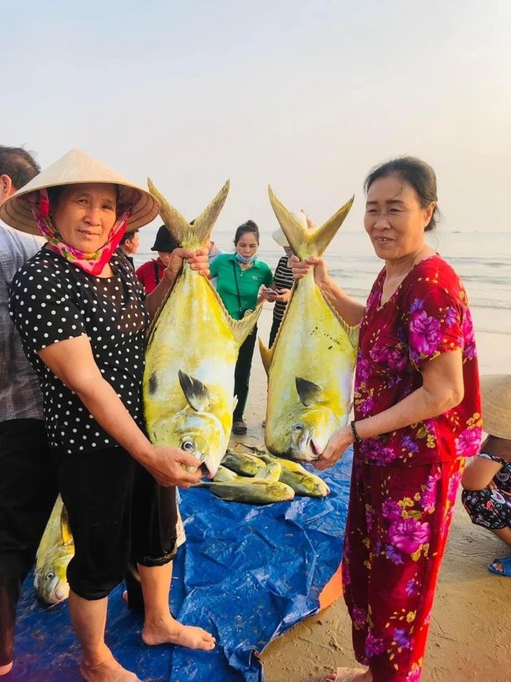 Ngư dân Hà Tĩnh 'trúng đậm' mẻ cá vàng dương hơn 300 triệu đồng- Ảnh 2.