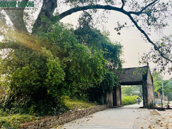 Mê mẩn trước cảnh yên bình tại làng cổ ngoại thành Hà Nội- Ảnh 1.