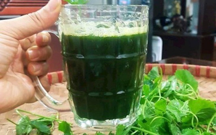 Bài thuốc chữa bệnh từ rau má