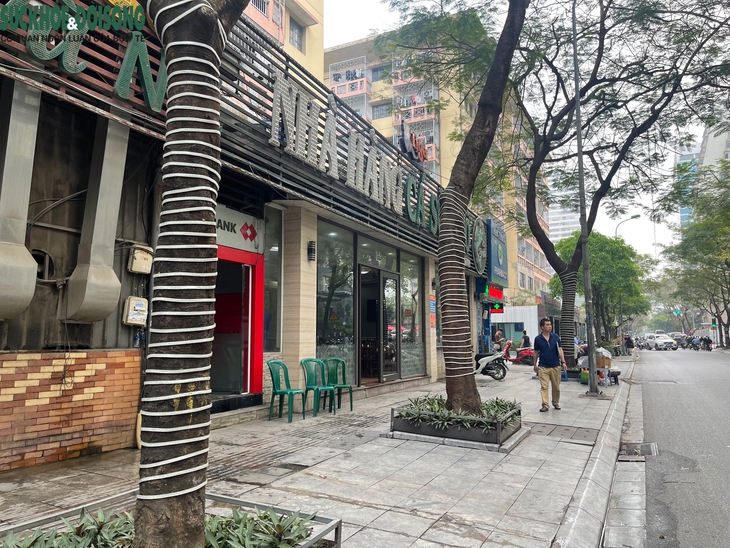 Nới lỏng 'gông sắt' cho loạt cây xanh ở Thanh Xuân, Hà Nội- Ảnh 8.
