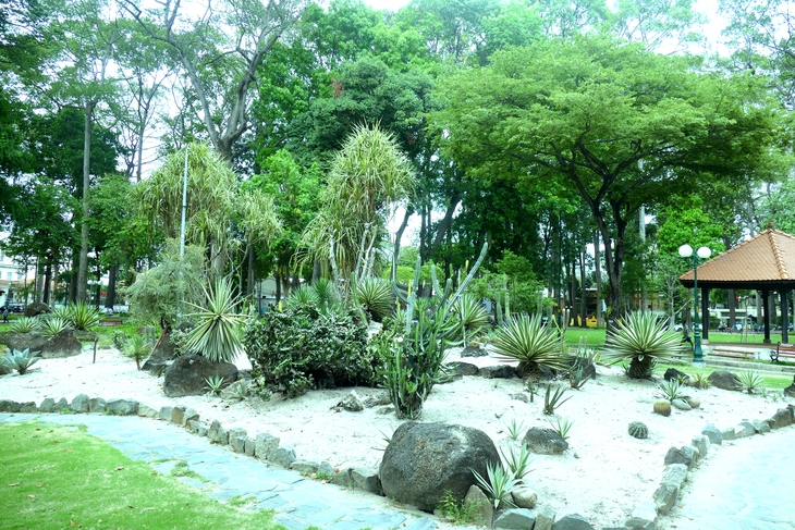 Hé lộ không gian xanh mát diễn ra Ngày Dinh dưỡng cộng đồng Việt Nam lần 2- Ảnh 5. Hé lộ không gian xanh mát diễn ra Ngày Dinh dưỡng cộng đồng Việt Nam lần 2- Ảnh 5.
