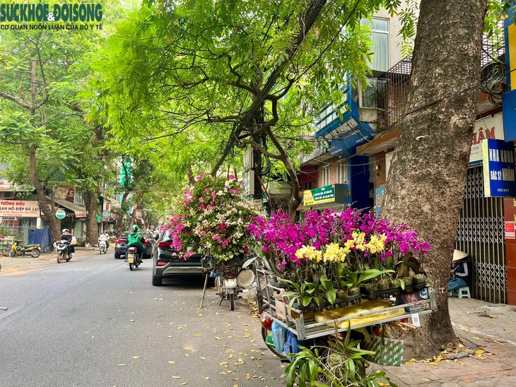Ngắm Hà Nội bình yên trong kỳ nghỉ lễ 30/4 - 1/5- Ảnh 9.