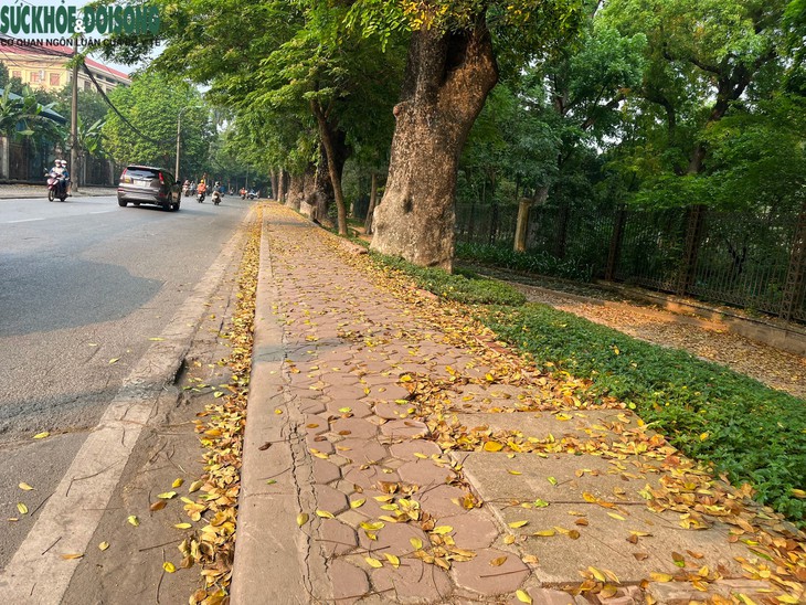 Ngắm Hà Nội bình yên trong kỳ nghỉ lễ 30/4 - 1/5- Ảnh 10.