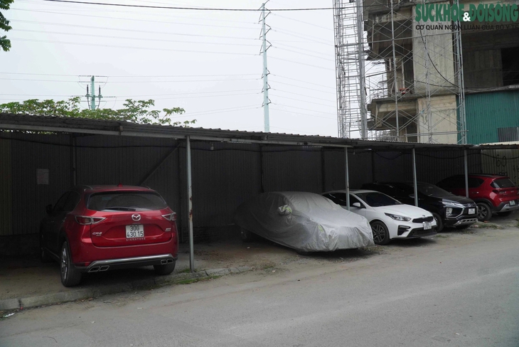 Dự án bỏ hoang trên 