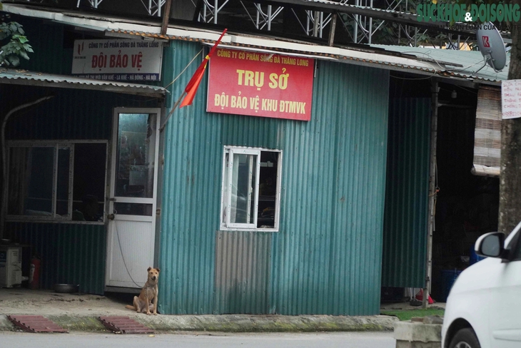 Dự án bỏ hoang trên 