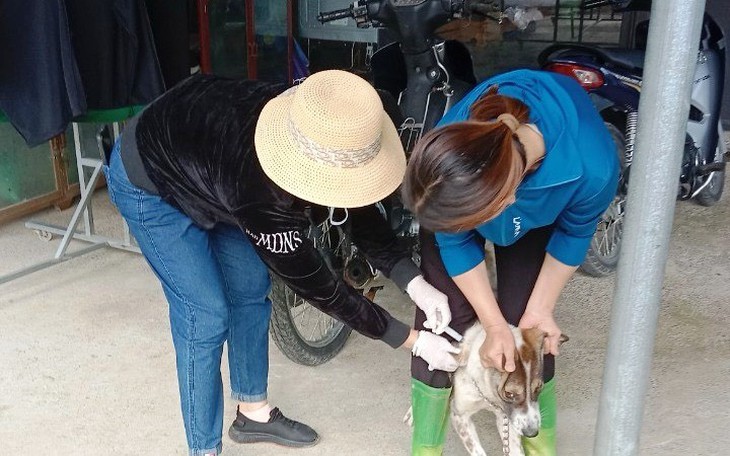 Xuất hiện hai ổ dịch, nhiều người bị chó dại cắn