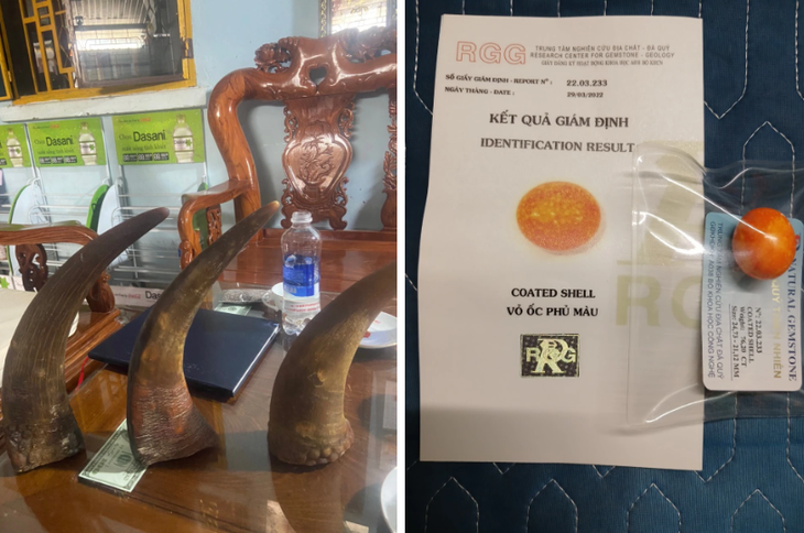 Bắt nhóm đối tượng lừa bán đá thiên thạch, sừng tê giác- Ảnh 2.
