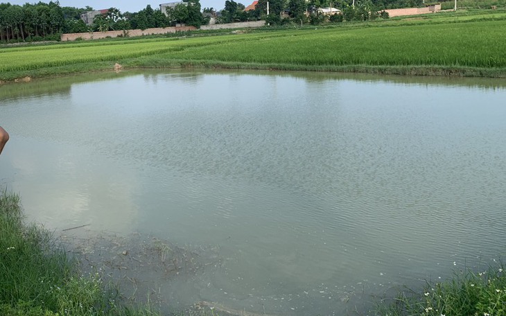 Hai học sinh đuối nước tử vong khi tắm ao