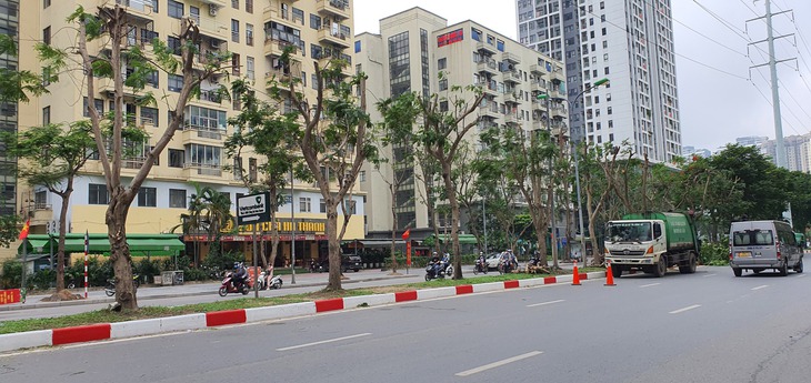 Có nên cắt trụi lá cây xanh trước mùa nắng nóng?- Ảnh 3. Có nên cắt trụi lá cây xanh trước mùa nắng nóng?- Ảnh 3.