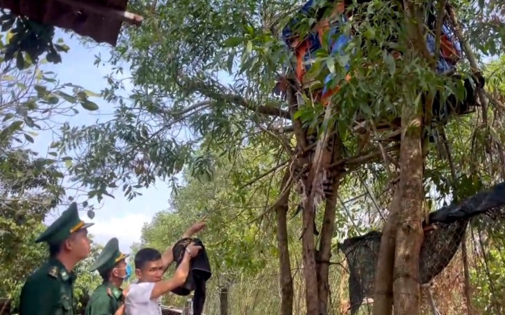Làm lán trại trên cây để giao dịch ma túy ở vùng biên