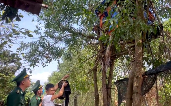 Làm lán trại trên cây để giao dịch ma tuý ở vùng biên- Ảnh 4.