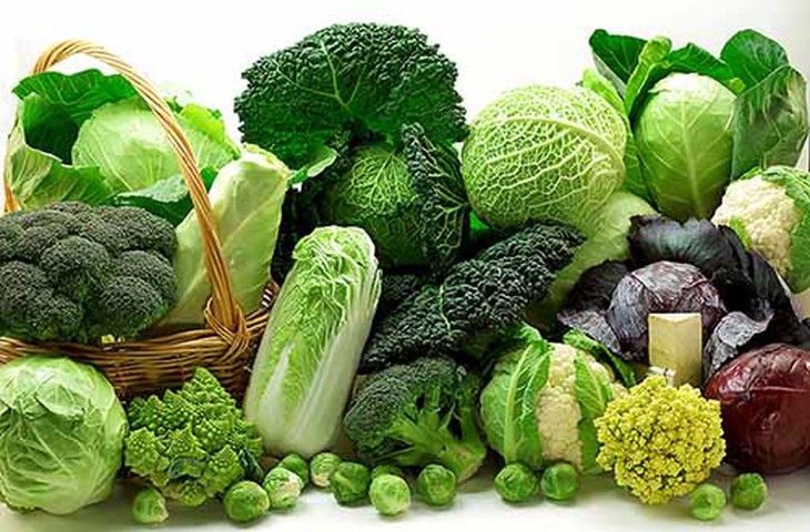 Ung thư tuyến giáp nên kiêng gì?- Ảnh 1. Ung thư tuyến giáp nên kiêng gì?- Ảnh 1.