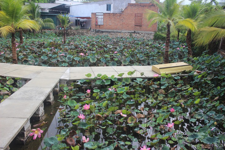 Thăm Khu tưởng niệm Bác Hồ trong khuôn viên của gia đình một cựu chiến binh- Ảnh 5. Thăm Khu tưởng niệm Bác Hồ trong khuôn viên của gia đình một cựu chiến binh- Ảnh 5.