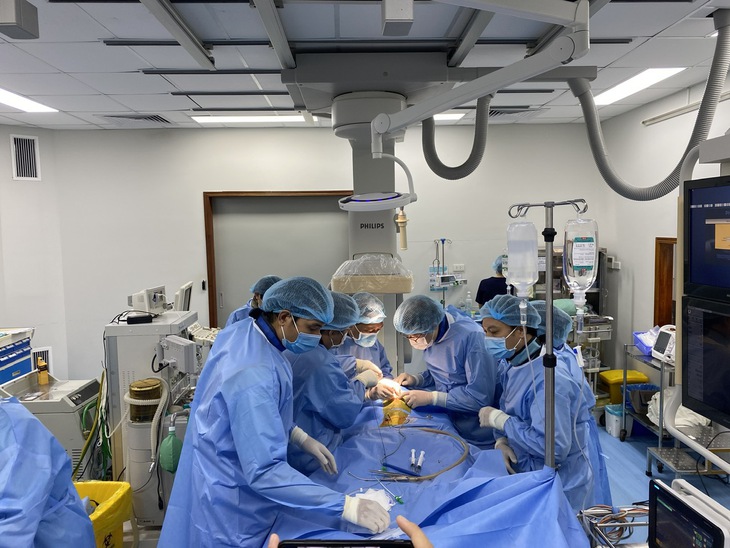 Bệnh viện Trung ương Huế khám sàng lọc bệnh tim mạch miễn phí cho người dân Hà Tĩnh- Ảnh 1. Bệnh viện Trung ương Huế khám sàng lọc bệnh tim mạch miễn phí cho người dân Hà Tĩnh- Ảnh 1.