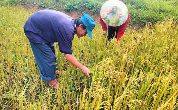 Một trong những bộ tộc bí ẩn nhất thế giới có 