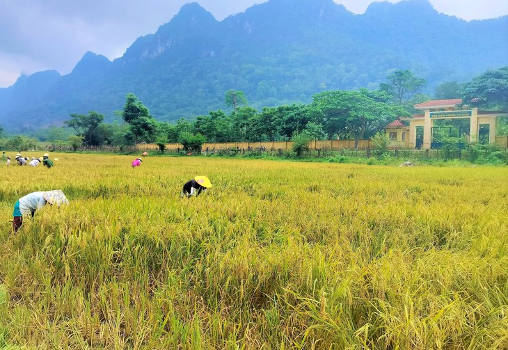 Một trong những bộ tộc bí ẩn nhất thế giới có 