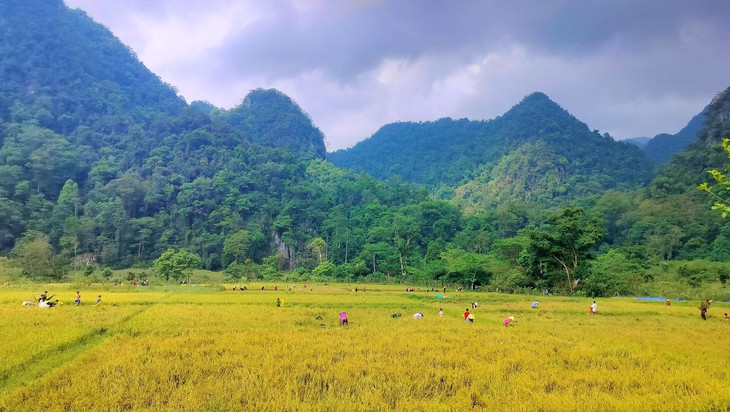Một trong những bộ tộc bí ẩn nhất thế giới có 