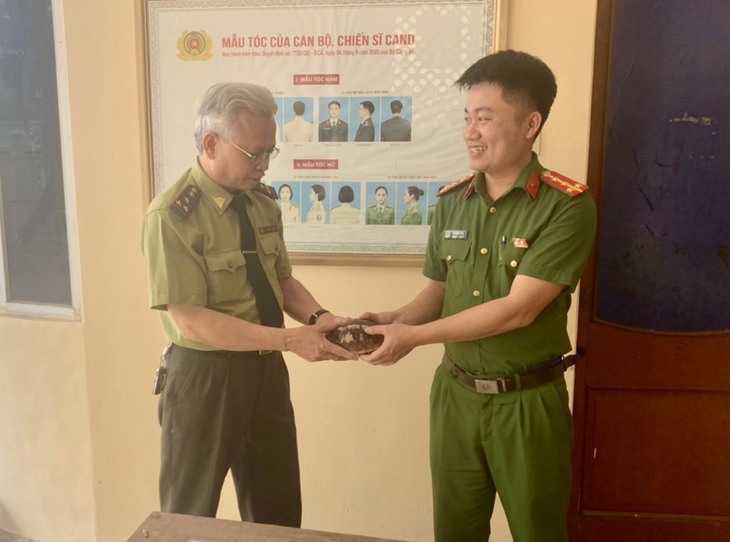 Bắt giữ 2 đối tượng buôn bán động vật hoang dã, giải cứu 17 cá thể rùa quý hiếm- Ảnh 2.
