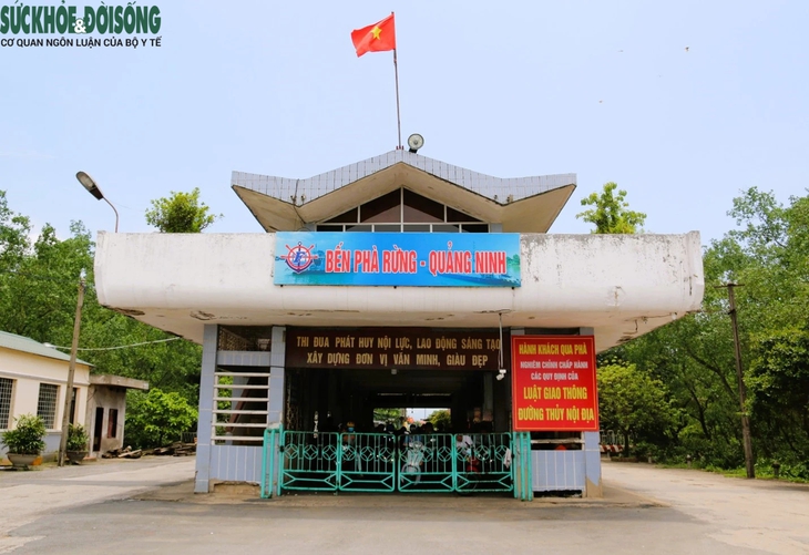 Sau 50 năm hoạt động, phà Rừng sẽ chỉ còn là ký ức- Ảnh 7. Sau 50 năm hoạt động, phà Rừng sẽ chỉ còn là ký ức- Ảnh 7.