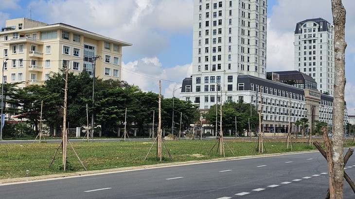 Hàng loạt cây xanh thuộc dự án nghìn tỉ vừa trồng đã chết khô- Ảnh 1.