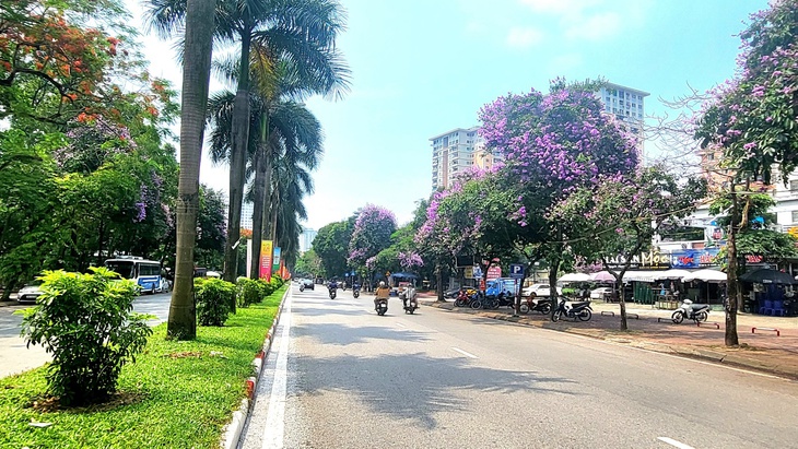 goi-hoa-bang-lang