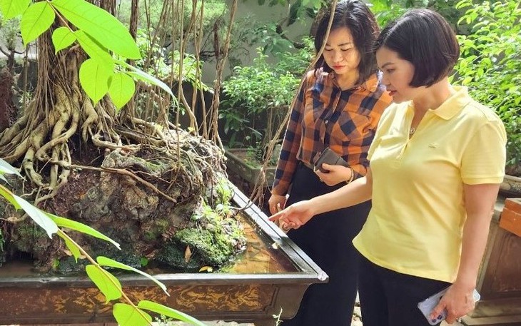 Số ca mắc sốt xuất huyết của Hà Nội hiện bao nhiêu?