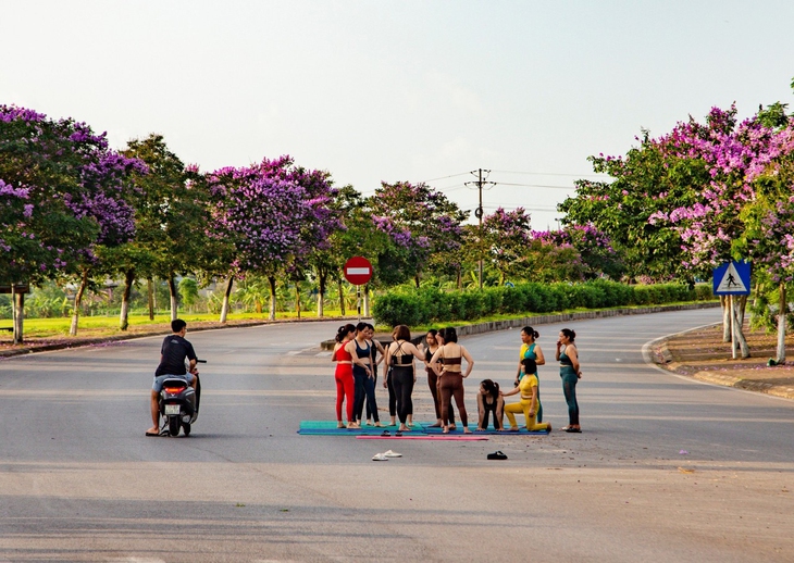 Phạt hành chính nhóm yoga nằm, ngồi giữa đường chụp hình- Ảnh 1.