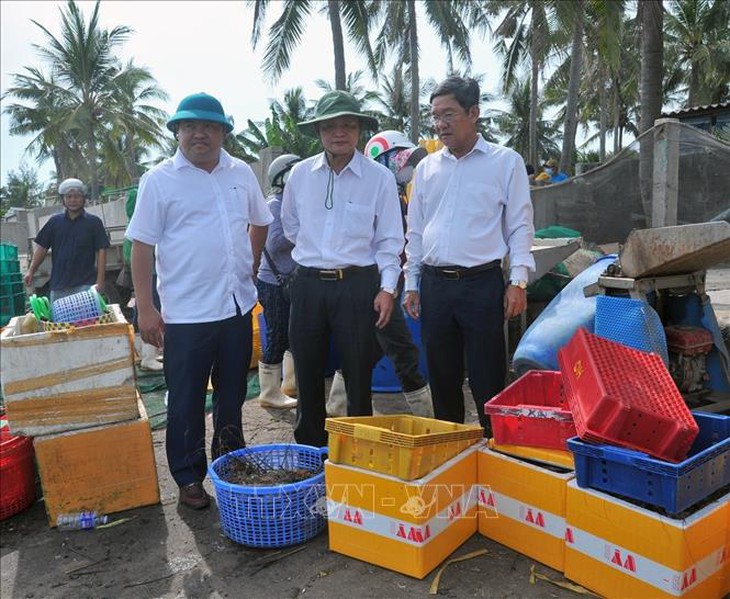 Tôm hùm, cá chết hàng loạt tại thị xã Sông Cầu- Ảnh 3.