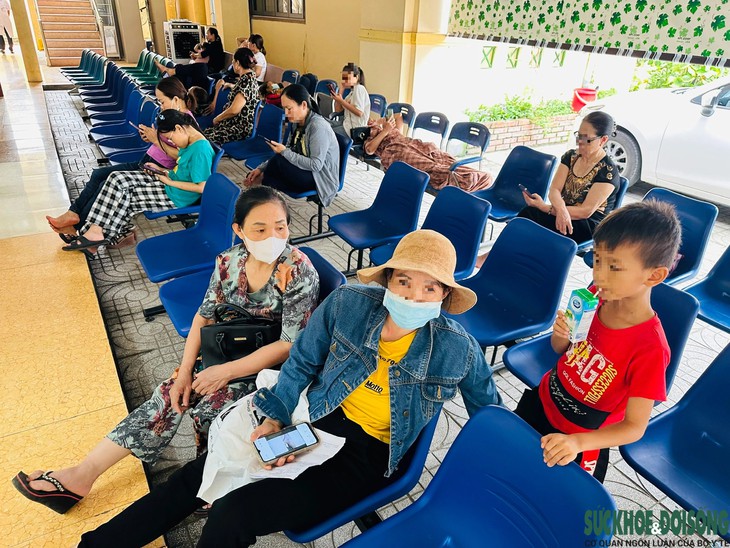 Nhiễm bệnh từ thú cưng: Bác sĩ khuyến cáo người nuôi cách phòng tránh lây bệnh- Ảnh 1.