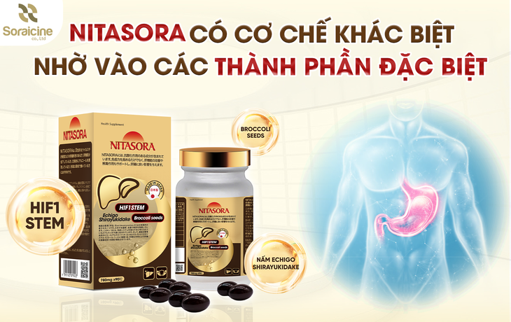 Hỗ trợ bảo vệ gan với nghiên cứu từ Nhật Bản- Ảnh 2.