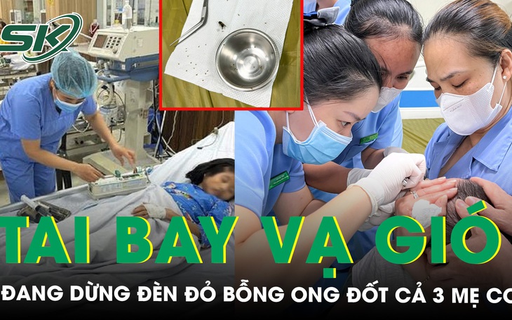 3 mẹ con bị ong đốt gần 100 nốt khi đang dừng đèn đỏ