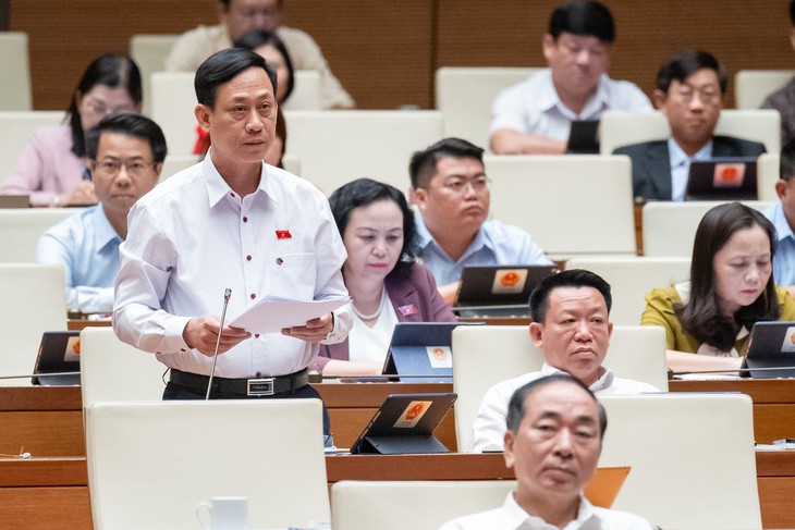 ĐBQH đề xuất cân nhắc giảm thuế lớn hơn để phục hồi và phát triển kinh tế - xã hội- Ảnh 2.