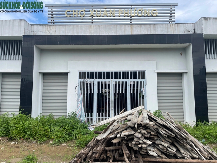 Hà Nội: Chợ dân sinh Xuân Phương bỏ hoang gần 10 năm, cỏ mọc um tùm- Ảnh 1.