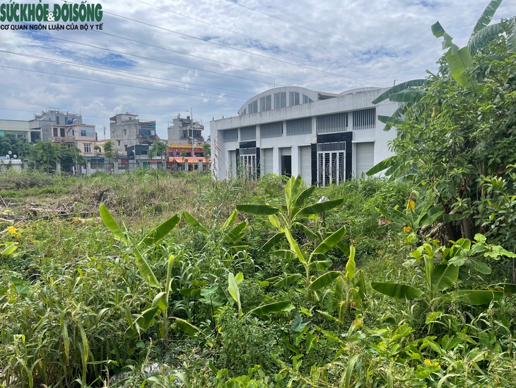 Hà Nội: Chợ dân sinh Xuân Phương bỏ hoang gần 10 năm, cỏ mọc um tùm- Ảnh 3.
