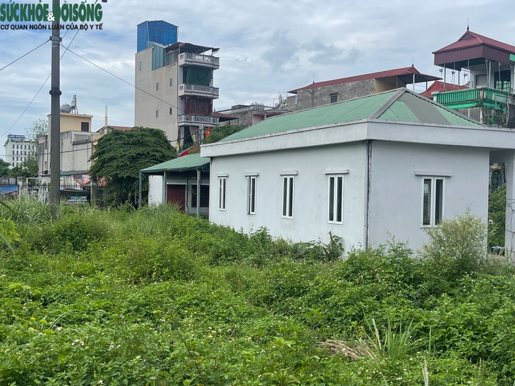Hà Nội: Chợ dân sinh Xuân Phương bỏ hoang gần 10 năm, cỏ mọc um tùm- Ảnh 4.