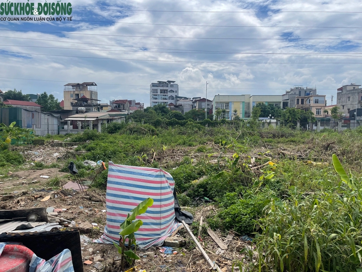 Hà Nội: Chợ dân sinh Xuân Phương bỏ hoang gần 10 năm, cỏ mọc um tùm- Ảnh 5.