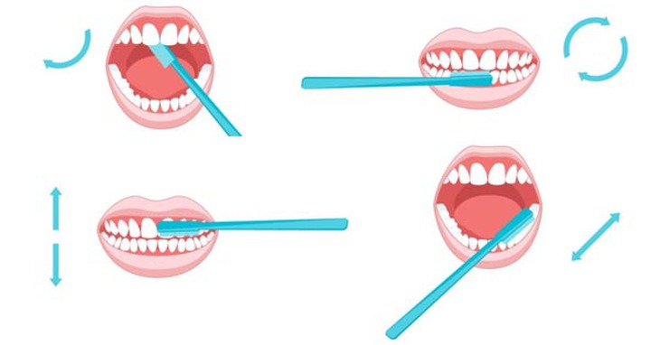 Mỗi ngày nên đánh răng bao nhiêu lần? - Ảnh 1.