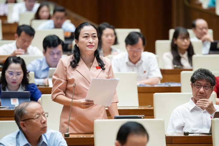 Quy định hưởng BHXH một lần làm 'nóng' nghị trường Quốc hội- Ảnh 2.