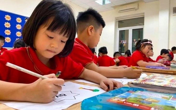 Cấm các trường dạy thêm, phụ huynh đôn đáo tìm lớp học hè cho con