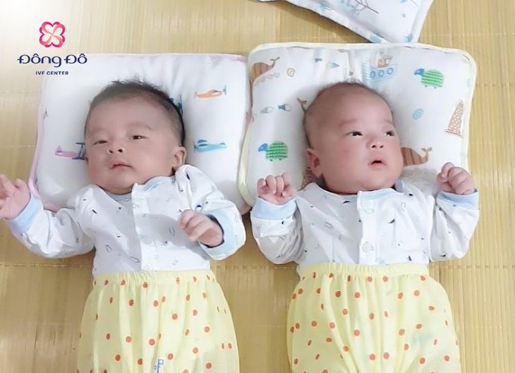 Họat hóa tinh trùng bằng Cumulus, phương pháp mới trong điều trị hiếm muộn- Ảnh 3. Họat hóa tinh trùng bằng Cumulus, phương pháp mới trong điều trị hiếm muộn- Ảnh 3.
