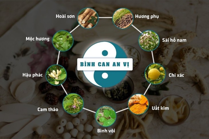 Cách hỗ trợ giảm triệu chứng trào ngược dạ dày dai dẳng lâu năm- Ảnh 2. Cách hỗ trợ giảm triệu chứng trào ngược dạ dày dai dẳng lâu năm- Ảnh 2.
