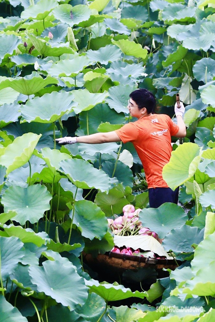 Cụ bà gần 100 tuổi bật mí cách ướp ‘đệ nhất trà’ giá chục triệu đồng/kg- Ảnh 1.