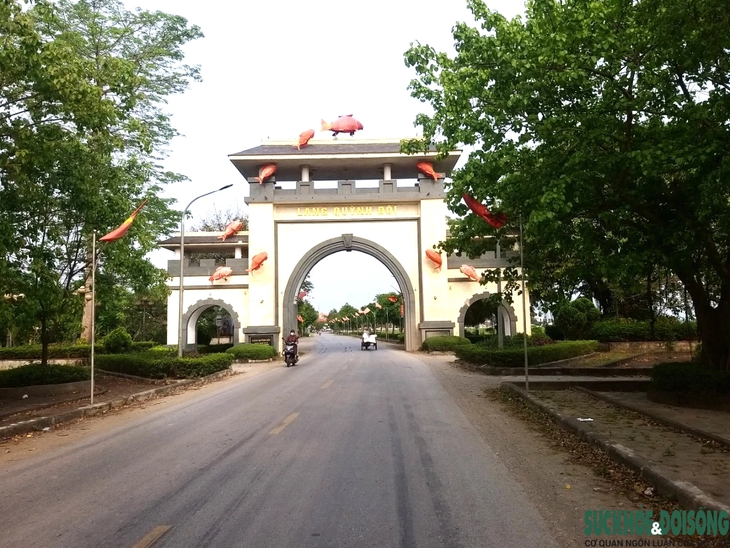 'Phạt nguội' người nuôi chó thả rông- Ảnh 1.
