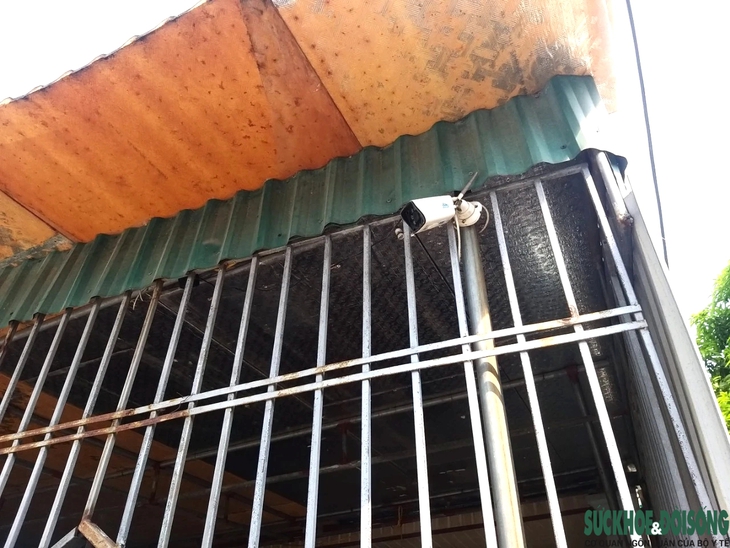 'Phạt nguội' người nuôi chó thả rông- Ảnh 3.