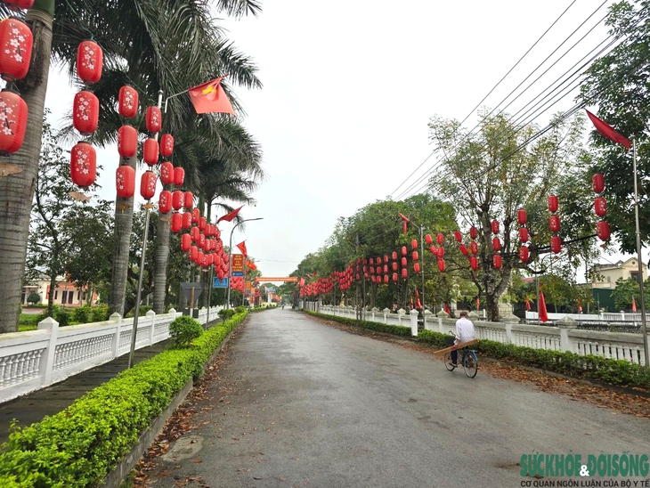 'Phạt nguội' người nuôi chó thả rông- Ảnh 4.