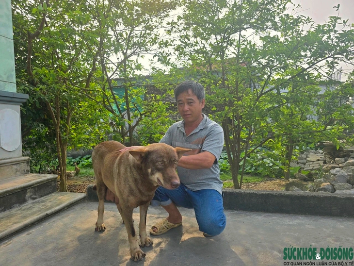 'Phạt nguội' người nuôi chó thả rông- Ảnh 2.