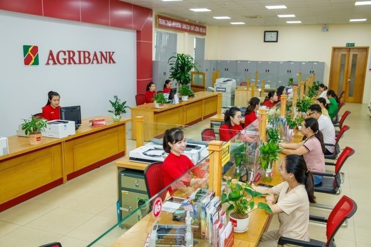 Kỳ vọng giá vàng giảm dần với biện pháp quyết liệt bình ổn thị trường- Ảnh 2. Kỳ vọng giá vàng giảm dần với biện pháp quyết liệt bình ổn thị trường- Ảnh 2.
