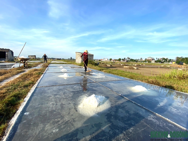 Mặn nhạt nghề muối- Ảnh 1.